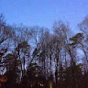 Meet your Posher, Adele